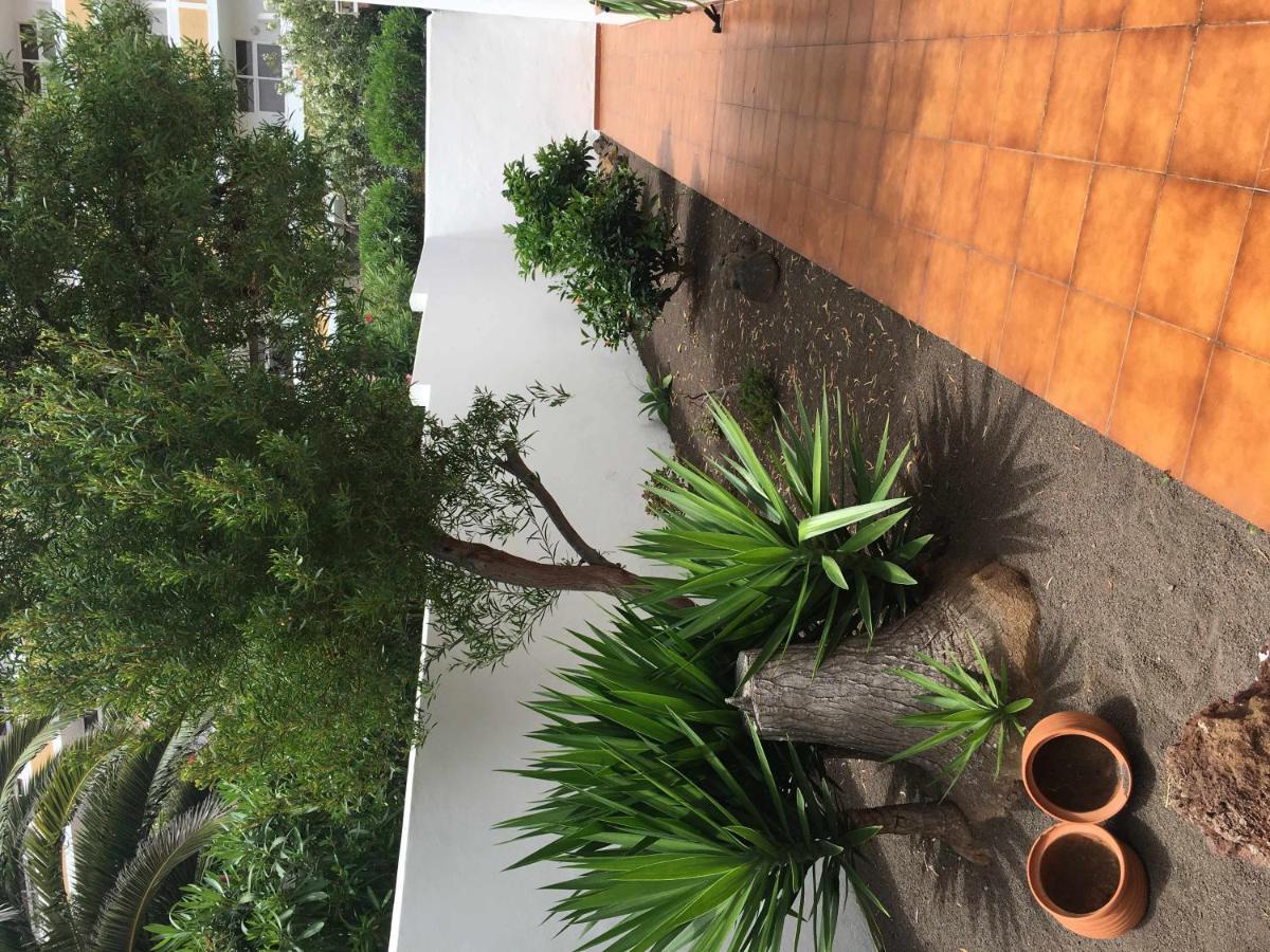Apartamento Con Jardin Y Piscina B Puerto de la Cruz  Eksteriør bilde